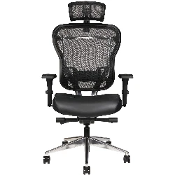 1. Oak Hollow Furniture Aloria Series Office Chair