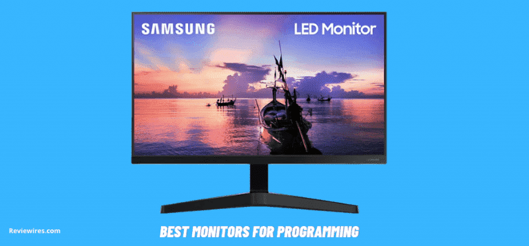 10 Best Monitors For Programming