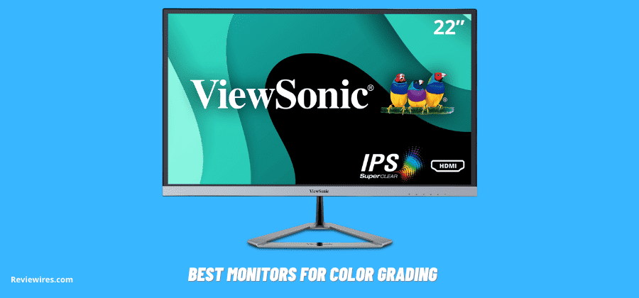 10 Best Monitors for Color Grading